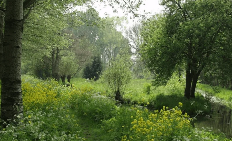 Alblasserbos